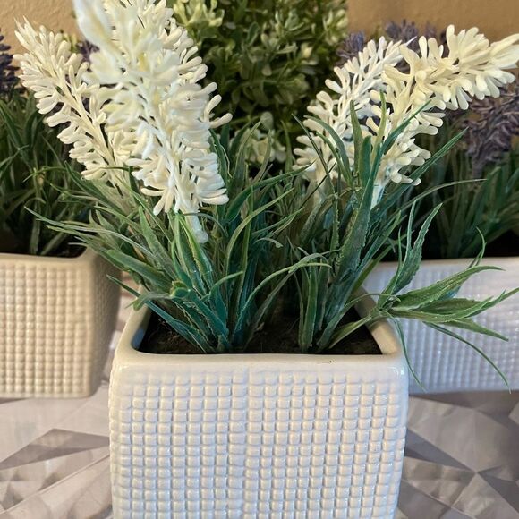 Faux Plants Lot of 5 Lavender in Ceramic Square Pots - Picture 4 of 11